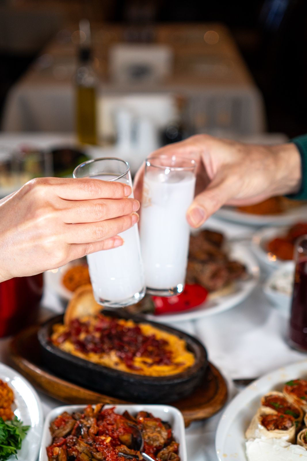 Rakı kadehleri ve meze sofrası